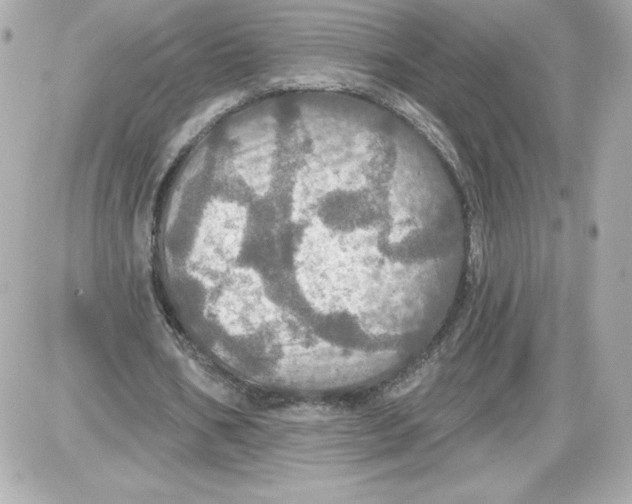 X0000087410578200705111853