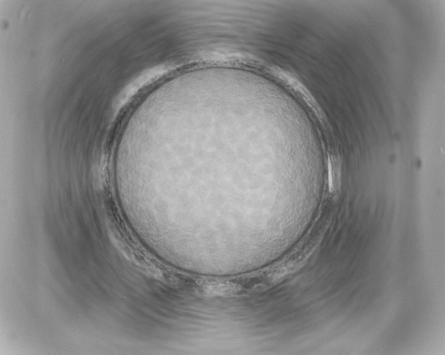 X0000087410579200705111853