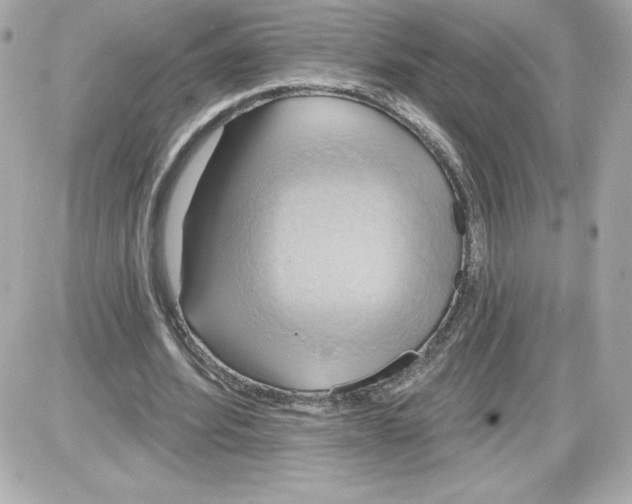 X0000087410580200705111853