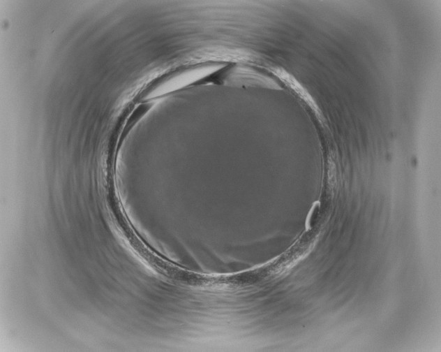 X0000087410581200705111853