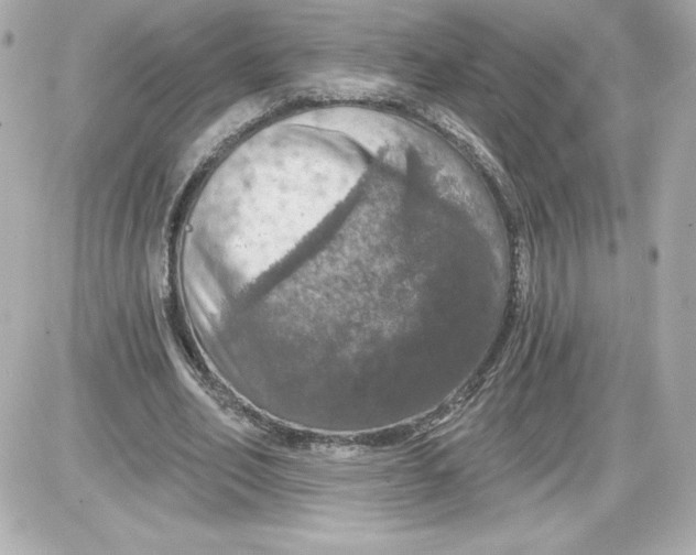 X0000087410582200705111853