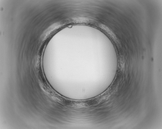 X0000087410583200705111853