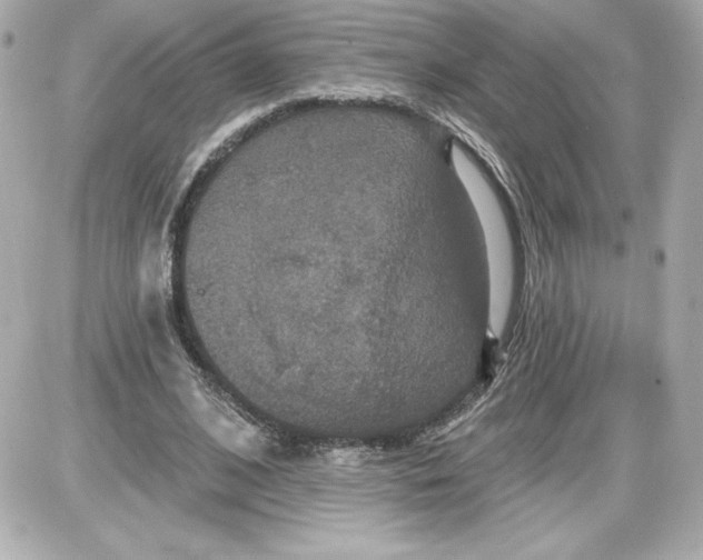 X0000087410584200705111853