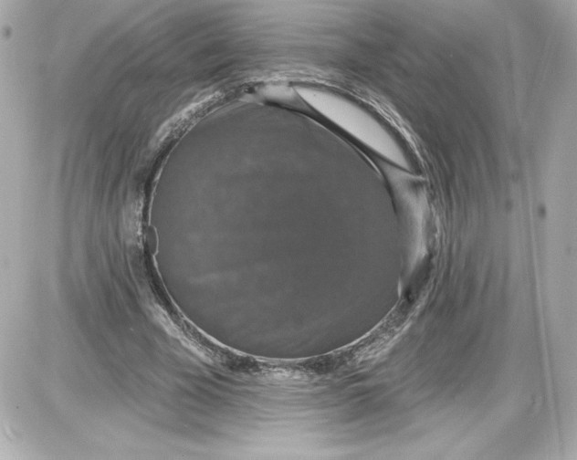 X0000087410585200705111853