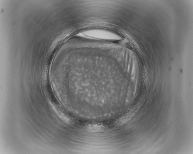 X0000087410586200705111853