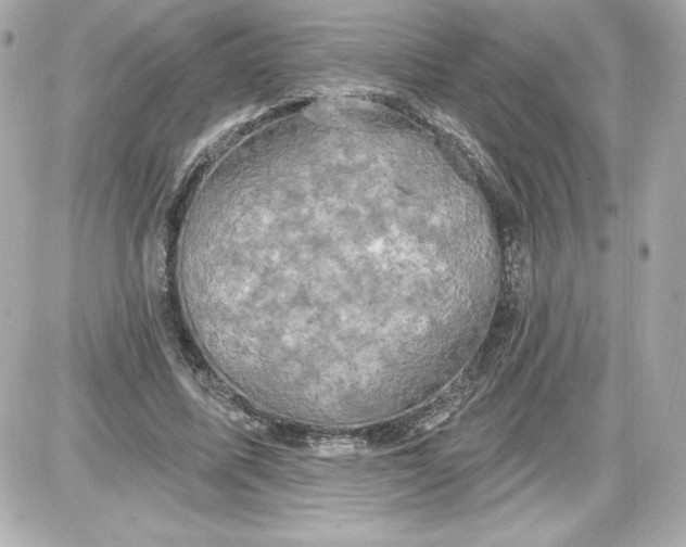 X0000087410587200705111853