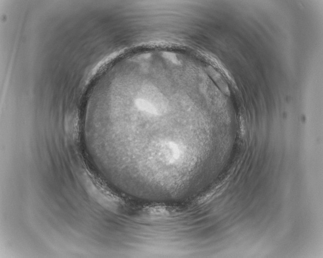 X0000087410588200705111853