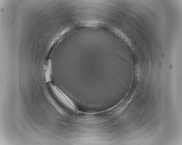 X0000087410589200705111853