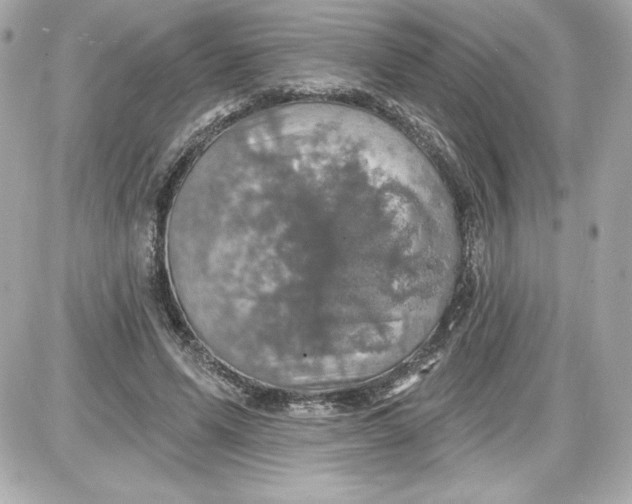 X0000087410591200705111853