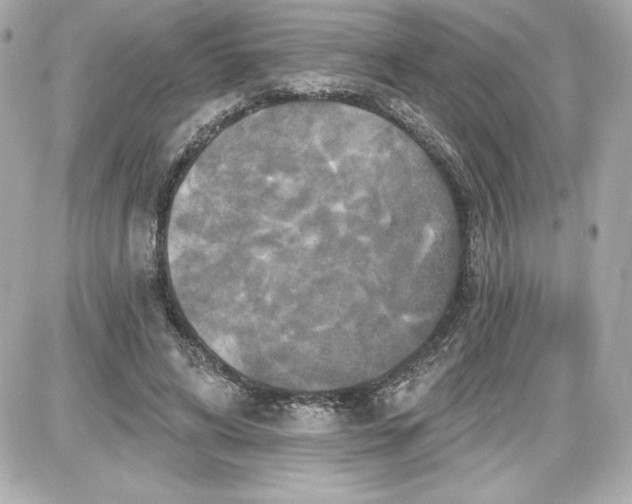 X0000087410592200705111853