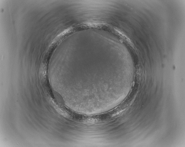 X0000087410593200705111853