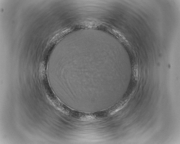 X0000087410594200705111853