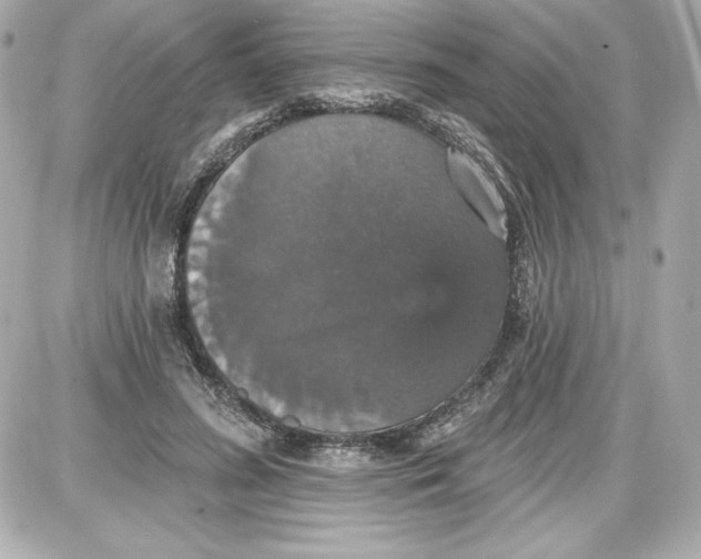 X0000087410596200705111853