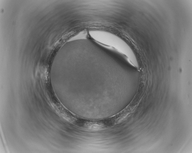 X0000087410597200705111853