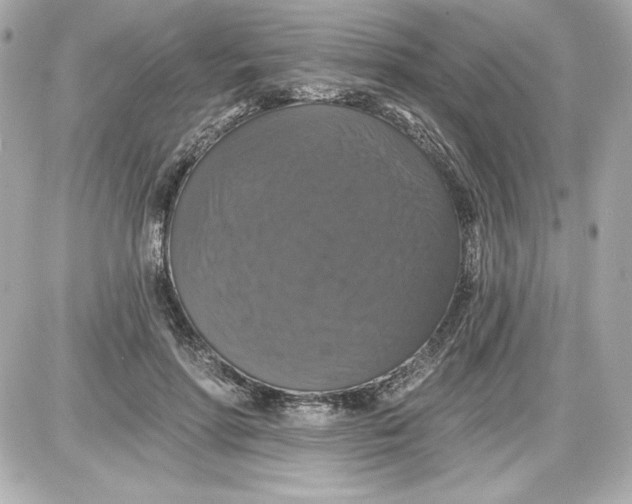 X0000087410598200705111853