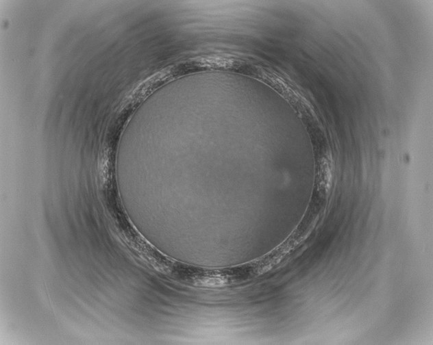 X0000087410600200705111853