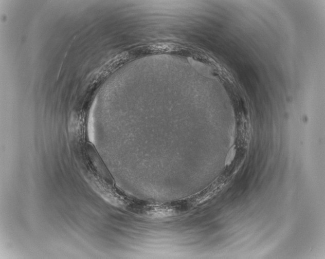 X0000087410601200705111853