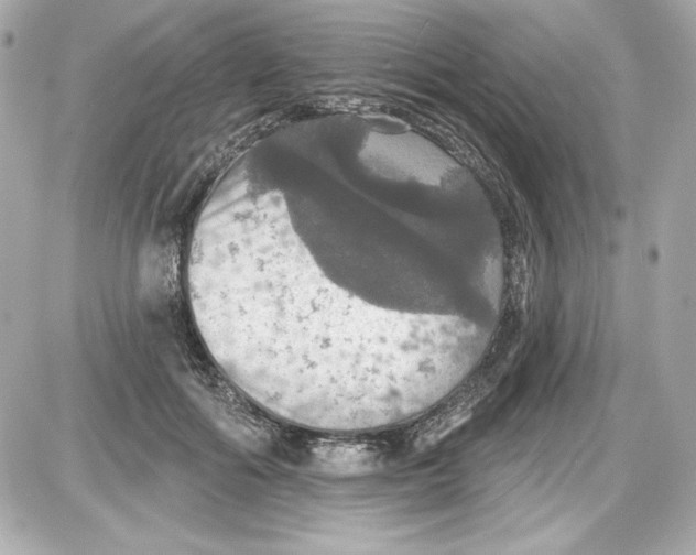 X0000087410602200705111853