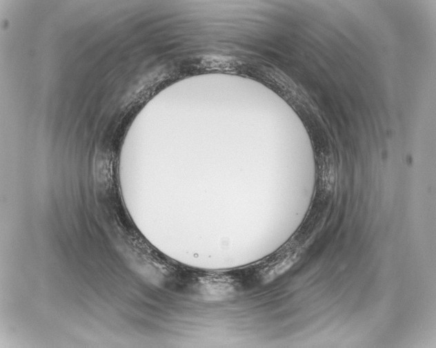 X0000087410603200705111853