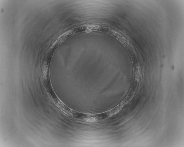 X0000087410604200705111853