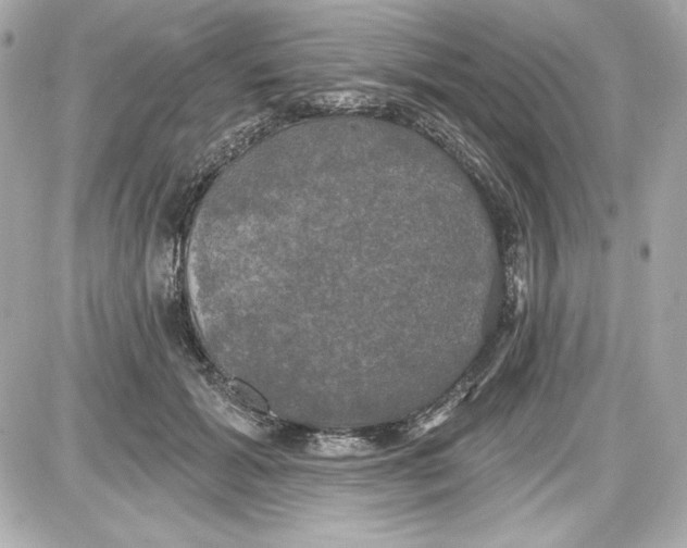 X0000087410605200705111853