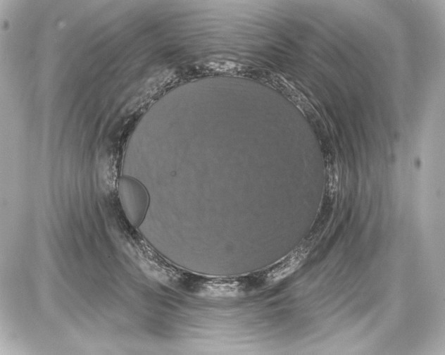 X0000087410606200705111853