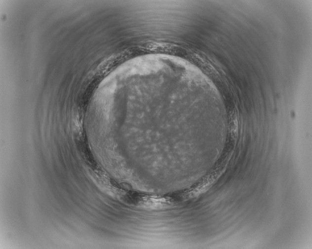 X0000087410607200705111853