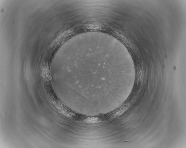 X0000087410609200705111853