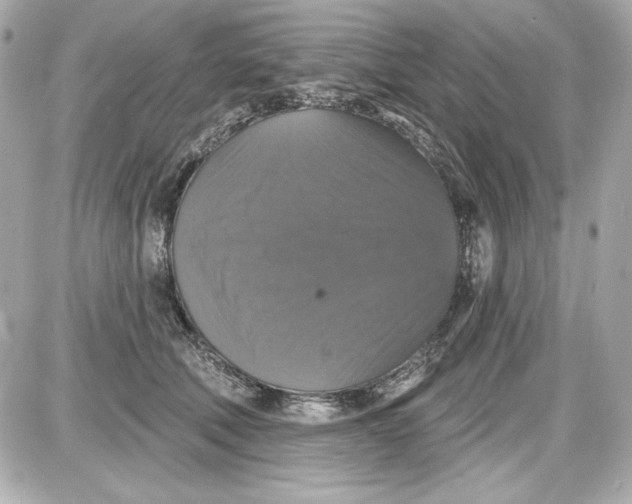 X0000087410610200705111853