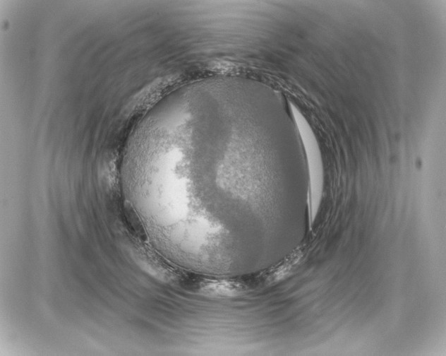 X0000087410611200705111853