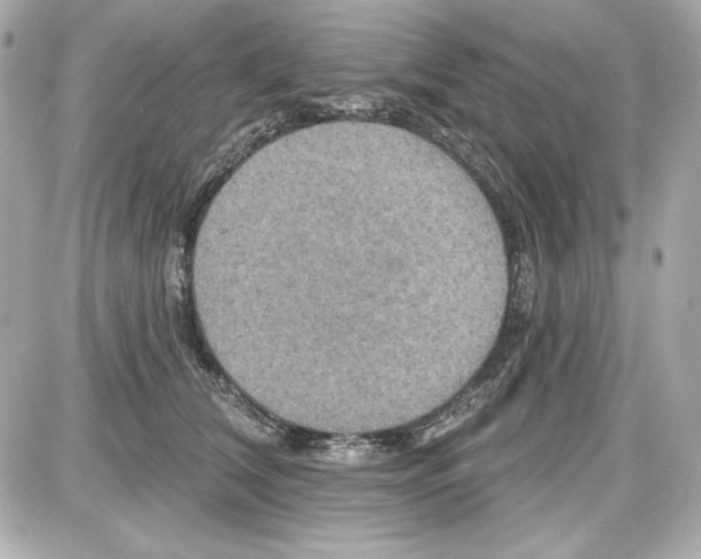 X0000087410612200705111853