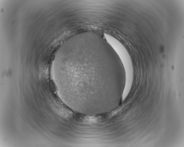 X0000087410613200705111853