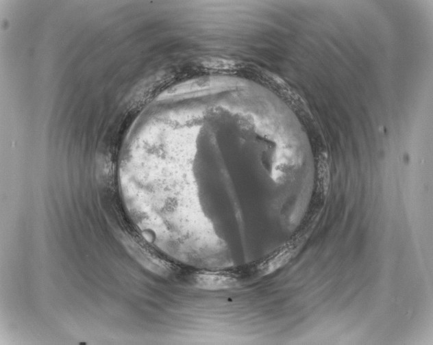 X0000087410614200705111853