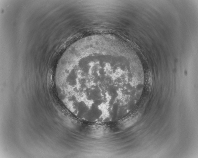 X0000087410615200705111853