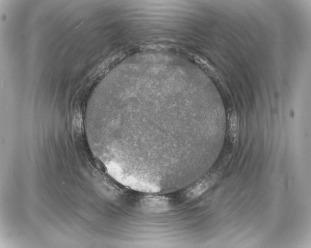 X0000087410617200705111853