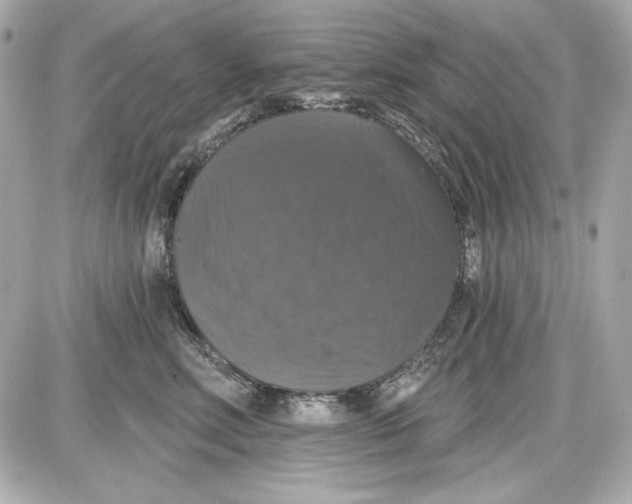 X0000087410618200705111853