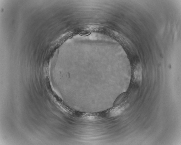 X0000087410620200705111853