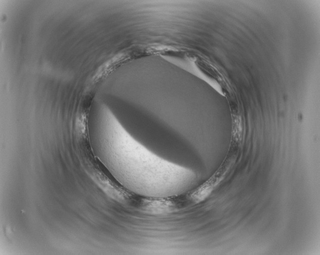 X0000087410621200705111853