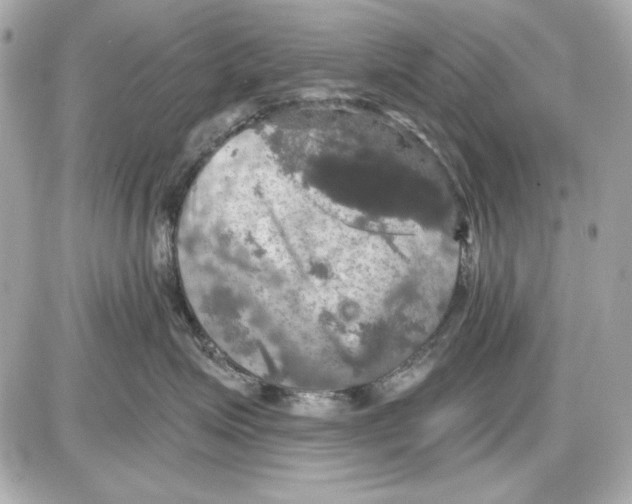 X0000087410623200705111853