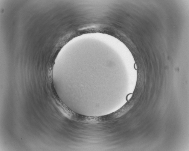 X0000087410624200705111853