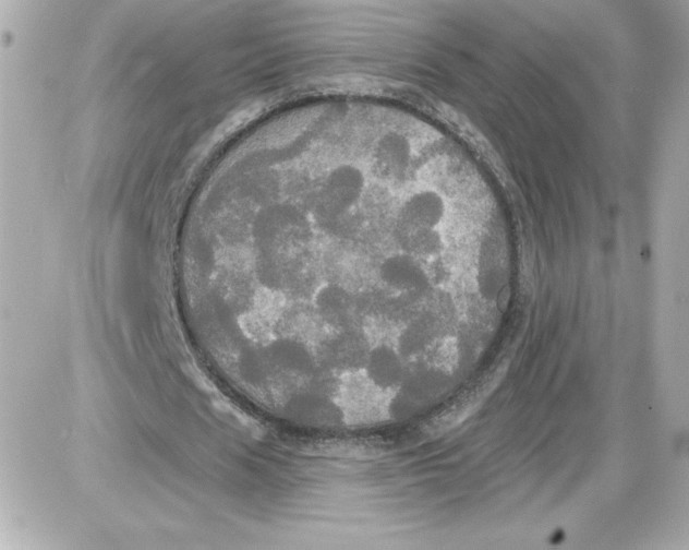 X0000087410625200705111852