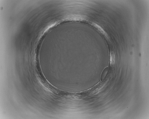 X0000087410627200705111852