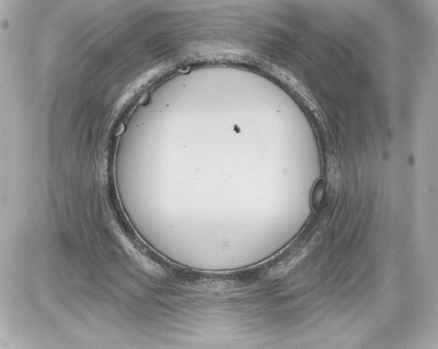 X0000087410629200705111852