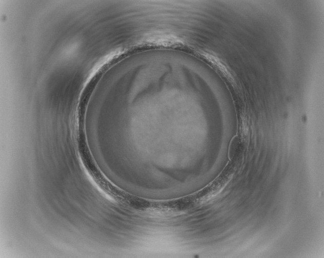 X0000087410630200705111852