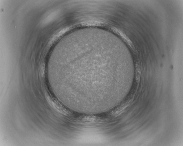 X0000087410631200705111852