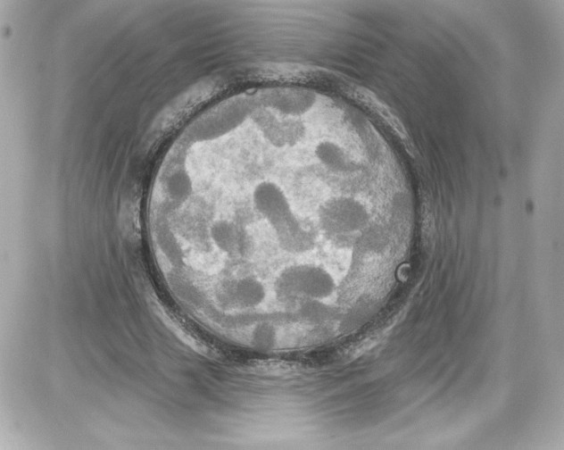 X0000087410633200705111852