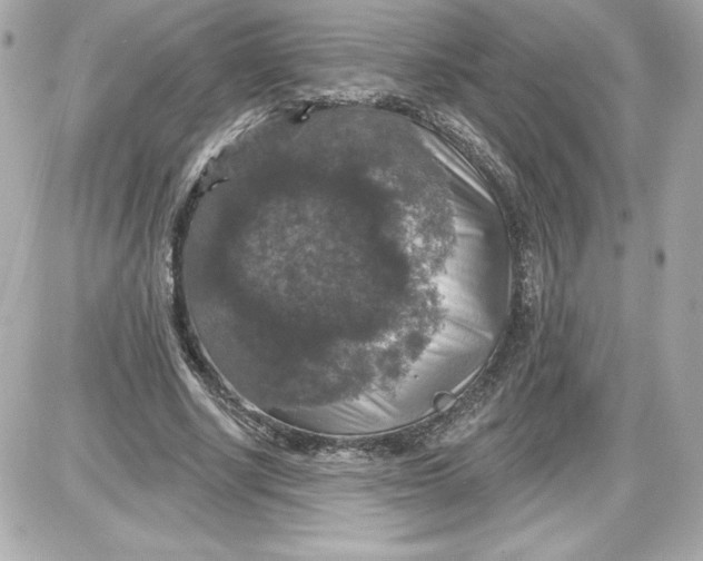 X0000087410634200705111852