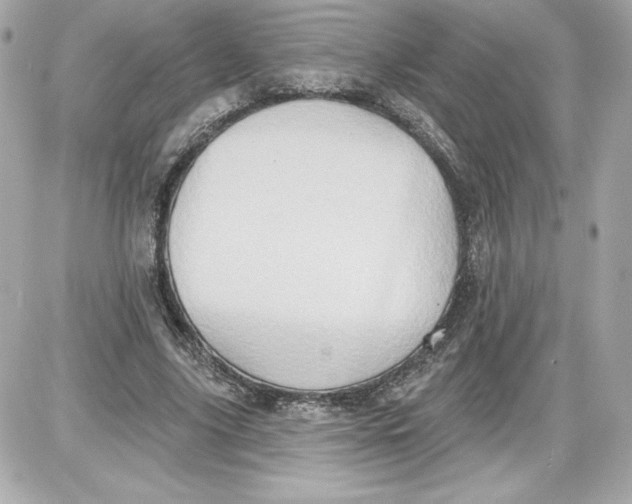 X0000087410635200705111852