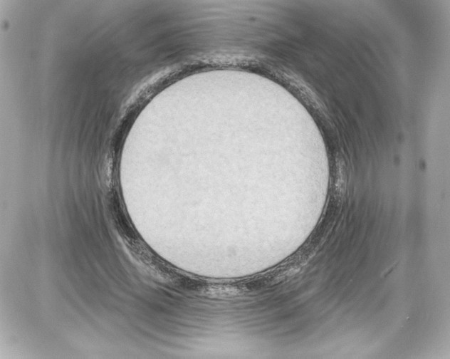 X0000087410636200705111852