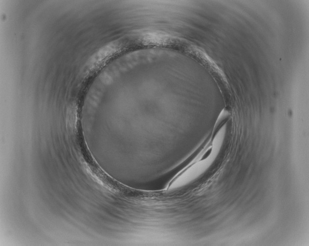 X0000087410637200705111852